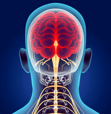 illustration of cervical spinal nerve canal
